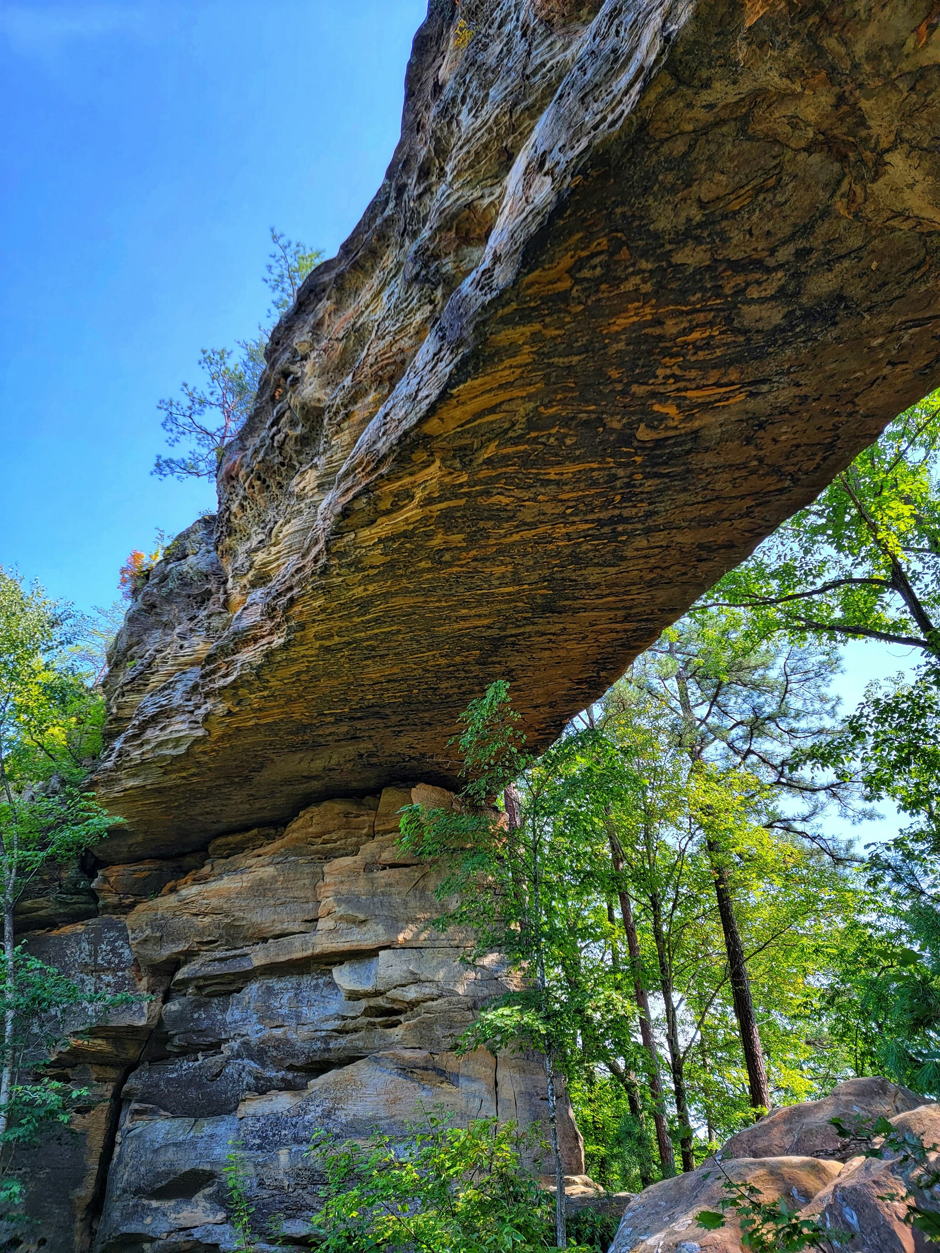Sandstone rock arch seen from below against a blue sky, framed by trees